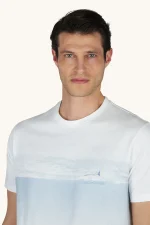 Muška dvobojna t-shirt majica Paul & Shark 26411053 108 - Slika 3